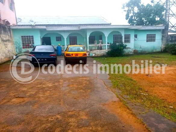 WhatsApp Image 2025 02 13 At 05.50.29 1 584x438