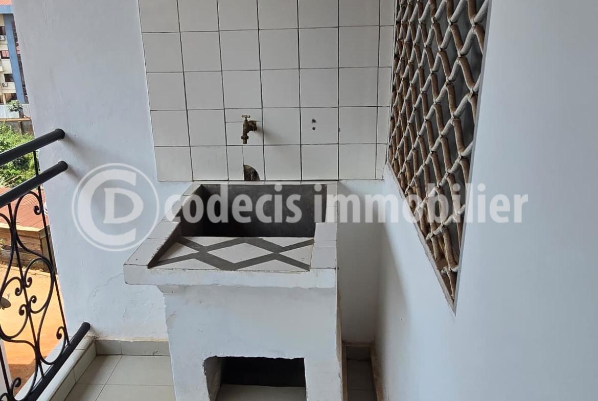 whatsapp image 2026 03 15 at 14.33.20