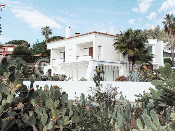 Real Estate Bg 2 592x444